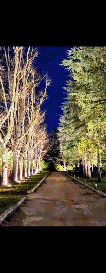 La Casa Nel Parco Luxury B&B San Lazzaro di Savena Dış mekan fotoğraf